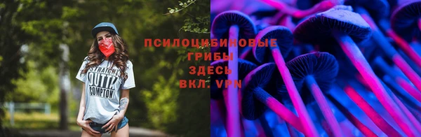 PSILOCYBIN Абаза