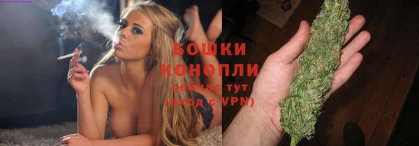 тгк Новозыбков