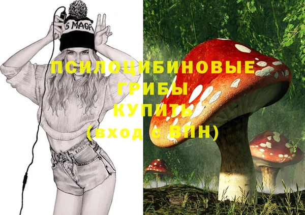 a pvp Абдулино