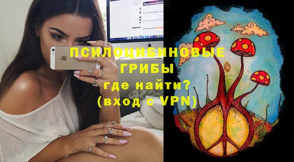 тгк Новозыбков